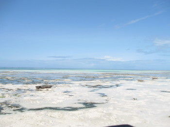 Zanzibar Rock Resort Pongwe Dış mekan fotoğraf
