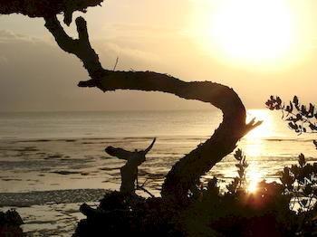 Zanzibar Rock Resort Pongwe Dış mekan fotoğraf