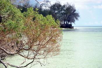 Zanzibar Rock Resort Pongwe Dış mekan fotoğraf